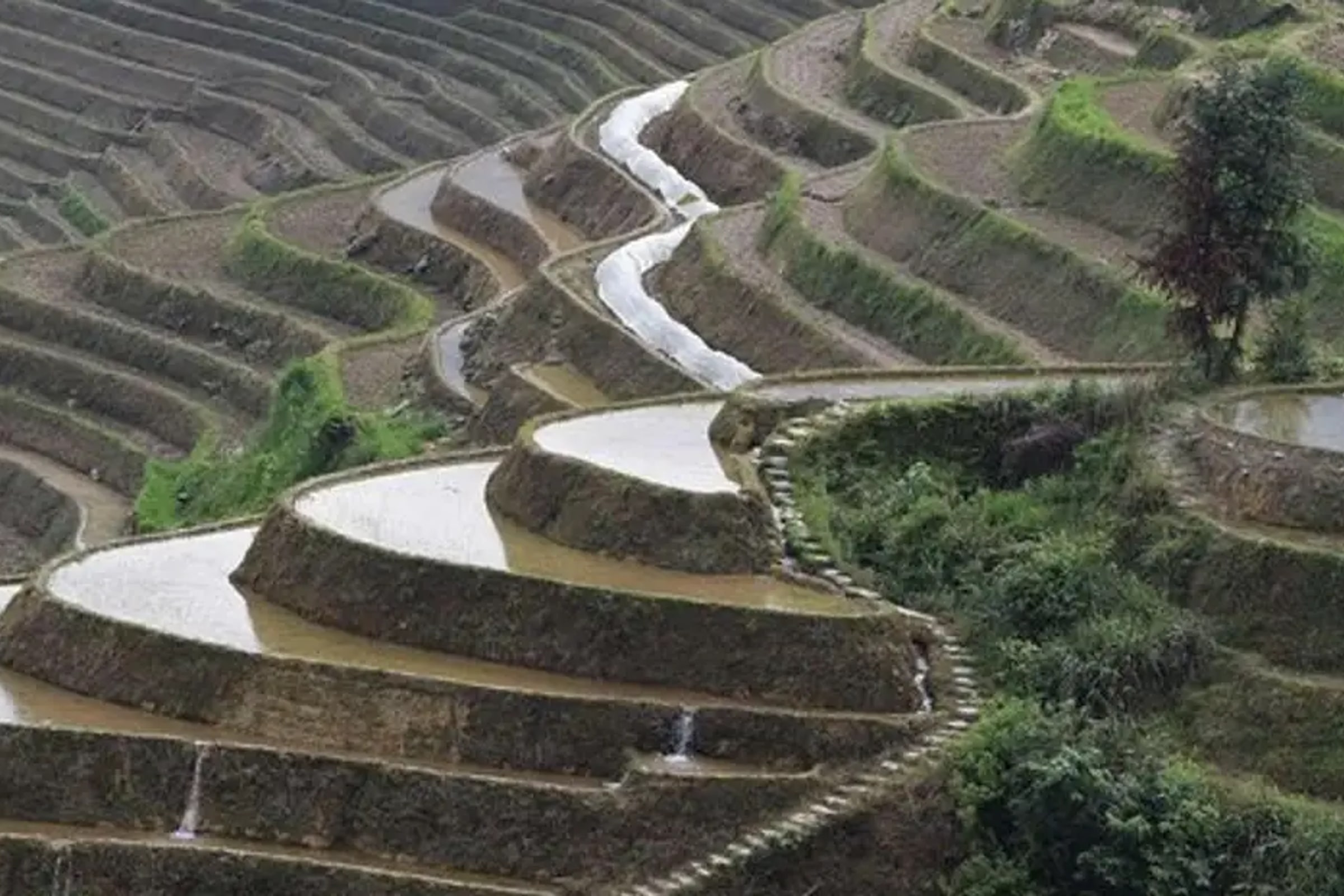 Longji Rice Terraces with the Dazhai Cable Car Private Day Tour